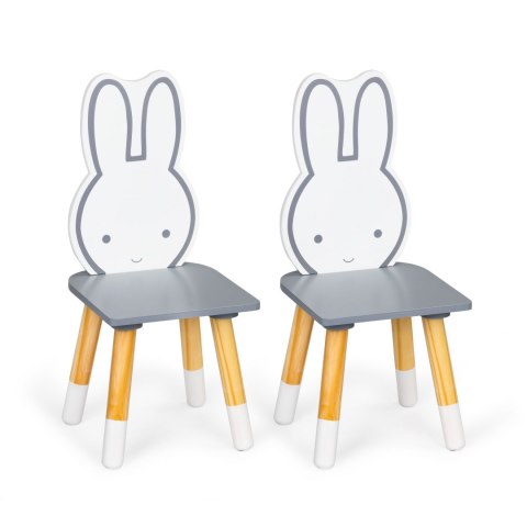 Stół stolik +2 krzesła meble dla dzieci zestaw Ecotoys