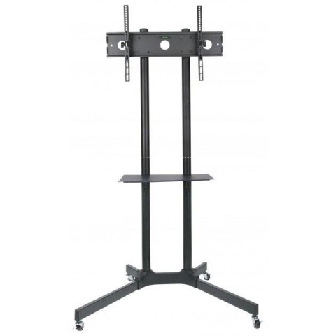 Stojak mobilny Techly 30"-65", 60kg regulowany