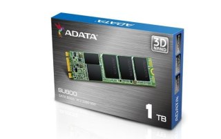 Dysk SSD ADATA Ultimate SU800 1TB M.2 (560/520 MB/s) 2280 3D TLC