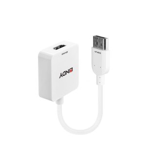 Konwerter HDMI do DisplayPort LINDY 4K biały