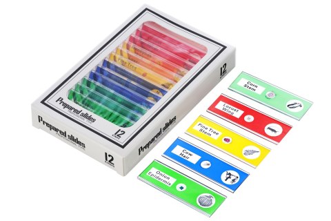 Mikroskop cyfrowy Levenhuk Rainbow DM500 LCD