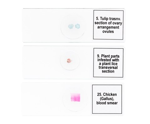 Zestaw mikropreparatów Discovery Prof DPS 25. „Biologia, ptaki itp."