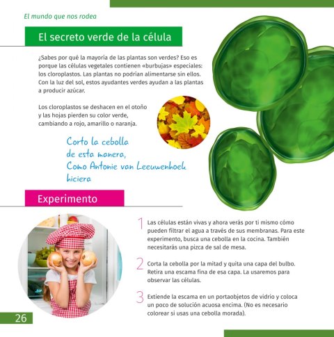 (ES) Mikroskop Discovery Micro Polar z książką
