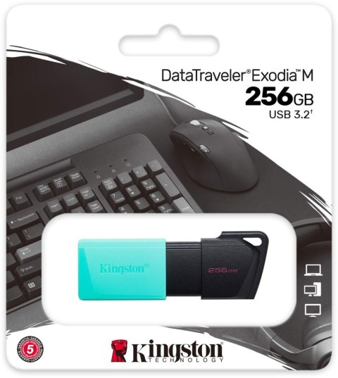 Pendrive Kingston Data Traveler Exodia M 256GB USB3.2 Gen1