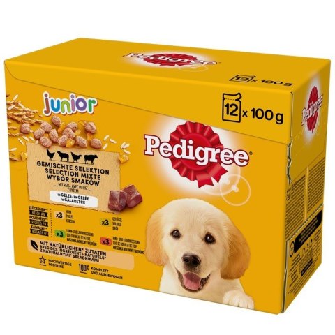 PEDIGREE Junior saszetka karma w galarecie dla psa12X100g