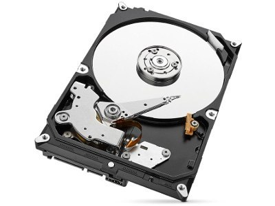 DYSK SEAGATE IronWolf ST1000VN002 1TB