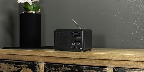 Radio internetowe Ferguson Regent i100 z DAB/DAB+/FM/Bluetooth. Stereo bass reflex.