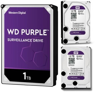 DYSK WD PURPLE 1TB WD10PURZ RECERTYFIKOWANY