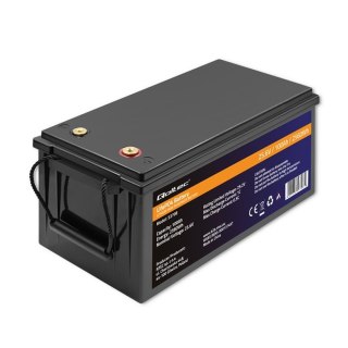 Akumulator LiFePO4 Qoltec Litowo-Żelazowo-Fosforanowy | 25.6V | 100Ah | 2560Wh | BMS