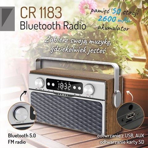 Radio z Bluetooth