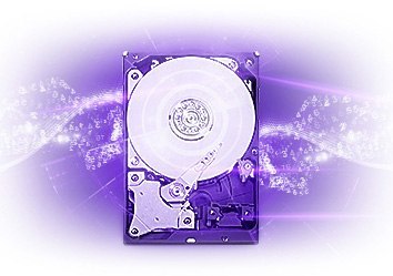 DYSK WD PURPLE 3TB PURX