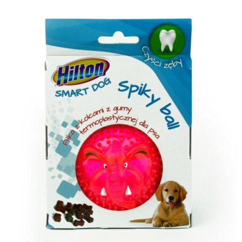 HILTON Dog Spiky Ball mix kolor piłka z kolcami 8cm dla psa