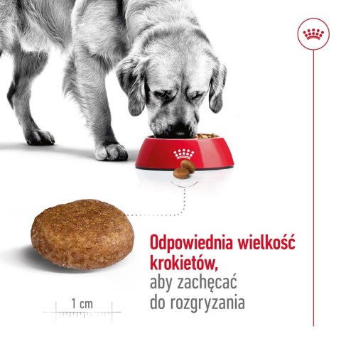 Karma Royal Canin SHN Maxi Adult (15 kg )