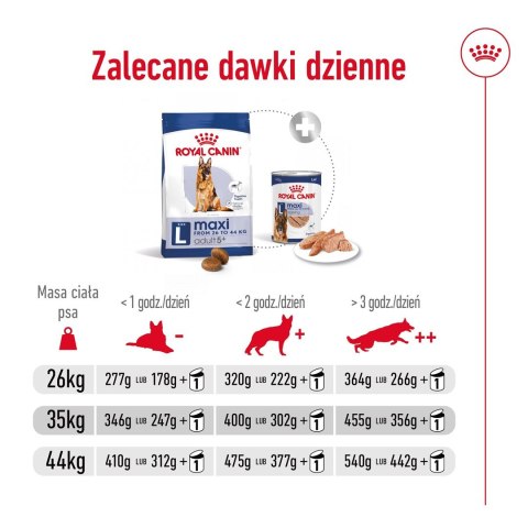 Karma Royal Canin SHN Maxi Adult (15 kg )