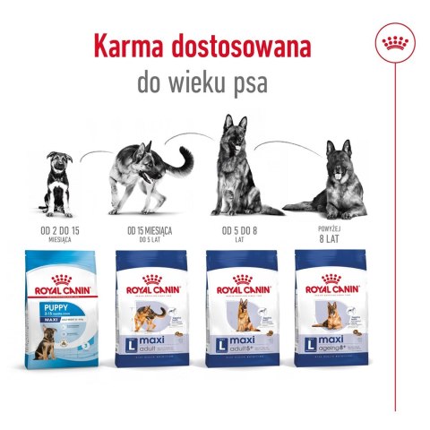 Karma Royal Canin SHN Maxi Adult (15 kg )