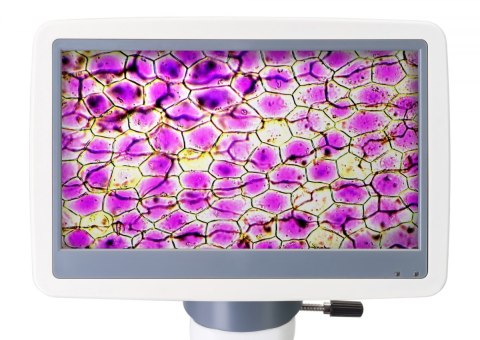 Mikroskop cyfrowy Levenhuk D85L LCD