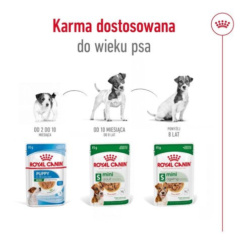 Karma ROYAL CANIN SHN Mini Adult w sosie 12X85G