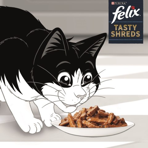 FELIX Tasty Shreds z Łososiem i z Tuńczykiem 4x80g