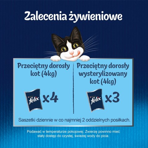 PURINA Felix Fantastic: kurczak - mokra karma dla kota - 85g