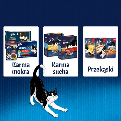 PURINA Felix Fantastic: łosoś - mokra karma dla kota - 85g