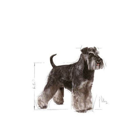 ROYAL CANIN Miniature Schnauzer 7,5kg