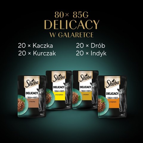 Sheba Delicacy Drobiowe Smaki w galaretce 80x85g