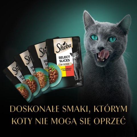 Sheba SiS Soczyste Smaki 12x85g